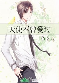 天使不曾爱过